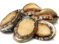 4 Alasan Kerang Abalon Dikenal dengan Harga 'Selangit'
