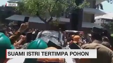 VIDEO: Suami Istri Tertimpa Pohon