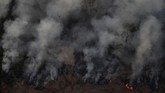 Gambar satelit menunjukkan negara bagian paling utara Brasil, Roraima, tertutup asap gelap. (REUTERS/Ueslei Marcelino)