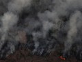 Inggris Sumbang Rp174 M untuk Tangani Kebakaran Hutan Amazon