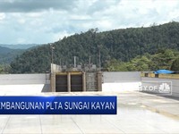 China Bangun PLTA Terbesar di RI, Luhut Minta Dipercepat