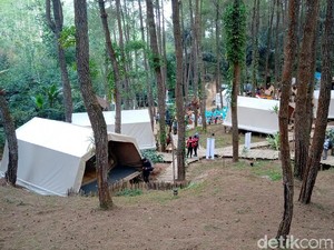 Lestarikan Sumber Air, Borobudur Highland Ditanami 400 Pohon