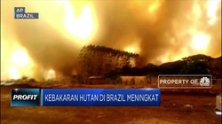 Kebakaran Hutan Amazon di Brazil Terus Meluas