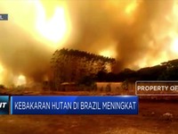 Kebakaran Hutan Amazon di Brazil Terus Meluas