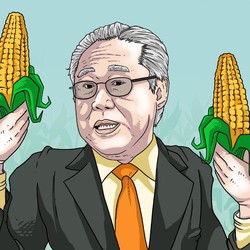 Jagung Lokal Vs Impor, Juaranya Adalah...