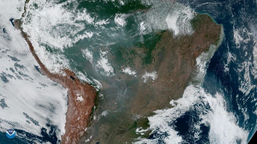 Para selebriti dan tokoh papan atas ikut teriak soal terbakarnya hutan Amazon 