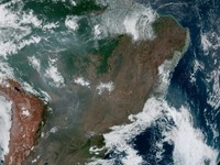 Hutan Amazon Terbakar, Madonna & CR7 