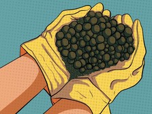 Royalti Progresif dan Transformasi Industri Nikel