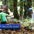 RI Melawan, Resmi Gugat Balik Eropa Soal Sawit!