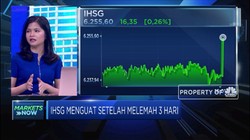 Akhirnya Obat Kuat BI Dorong IHSG  Masuk Ke Zona Hijau