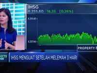 Akhirnya Obat Kuat BI Dorong IHSG  Masuk Ke Zona Hijau