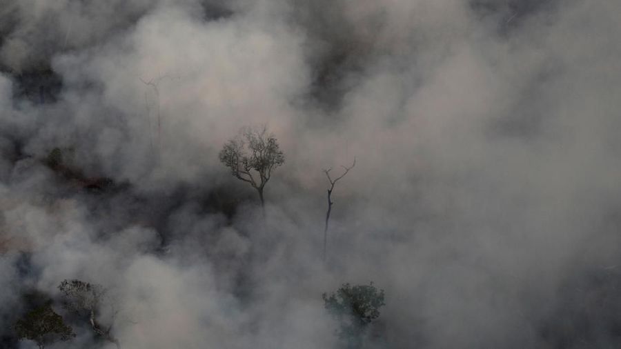 Hutan hujan Amazon yang terletak di Brazil telah mengalami kebakaran parah selama beberapa hari terakhir