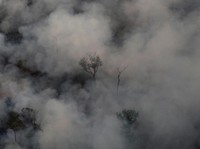 Gawat, Kebakaran Hutan Amazon Makin Luas