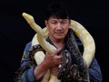 FOTO: Pukpinyo, 'Pahlawan' Bangkok Penakluk 10 Ribu Ular