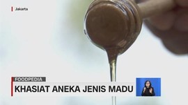 VIDEO: Khasiat Aneka Jenis Madu