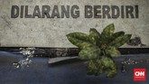 Bus Transjakarta merupakan bagian dari perkembangan transportasi DKI Jakarta, di samping pengembangan lain seperti MRT dan LRT. CNN Indonesia/Bisma Septalisma