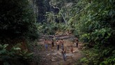 Kebakaran hutan Amazon yang terjadi tahun ini merupakan yang terparah sejak 2013. (REUTERS/Ueslei Marcelino)