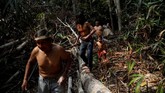 Penebangan hutan dan alih fungsi lahan menjadi musuh terbesar suku Mura selama mendiami hutan hujan Amazon. (REUTERS/Ueslei Marcelino)