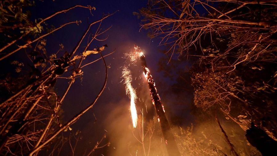 Juli lalu, Amazon telah kehilangan lahan seluas 1.345 kilometer persegi akibat kebakaran hutan.