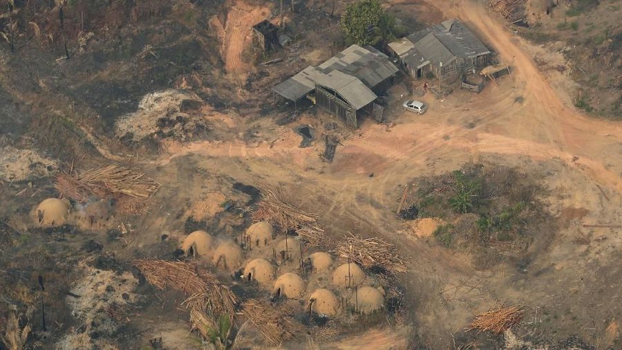 Juli lalu, Amazon telah kehilangan lahan seluas 1.345 kilometer persegi akibat kebakaran hutan.