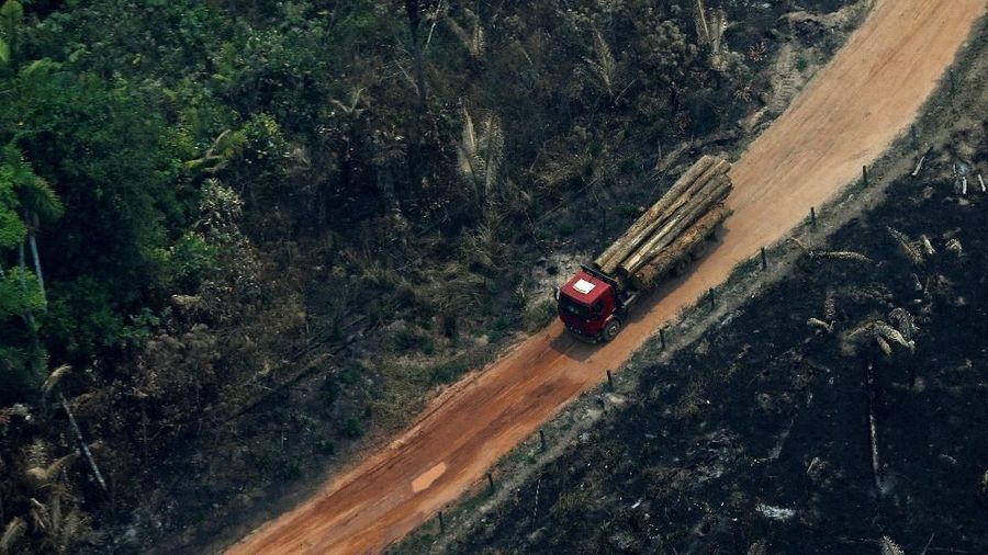 Juli lalu, Amazon telah kehilangan lahan seluas 1.345 kilometer persegi akibat kebakaran hutan.