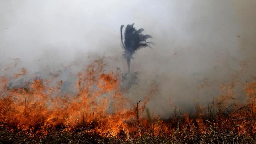 Kebakaran hutan hujan Amazon di Brasil telah menimbulkan kekhawatiran masyarakat dunia.