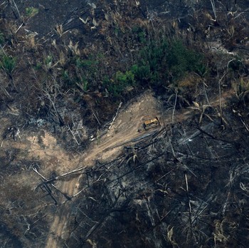 Duh, Hutan Amazon Membara karena Kebakaran Hutan