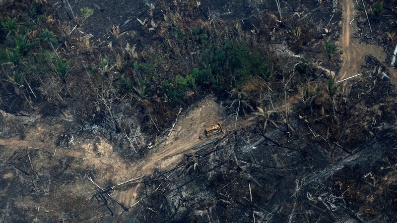 Juli lalu, Amazon telah kehilangan lahan seluas 1.345 kilometer persegi akibat kebakaran hutan.