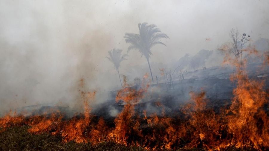 Juli lalu, Amazon telah kehilangan lahan seluas 1.345 kilometer persegi akibat kebakaran hutan.