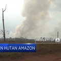 Kebakaran Hutan Amazon Terus Meluas
