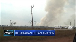 Kebakaran Hutan Amazon Terus Meluas