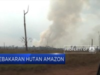 Kebakaran Hutan Amazon Terus Meluas
