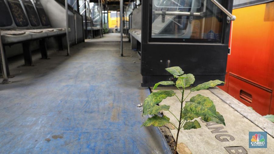 Bus legendaris tersebut merupakan generasi pertama saat Transjakarta pertama kali dijajal, 2014 silam.