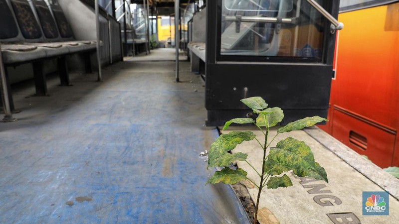 Bus legendaris tersebut merupakan generasi pertama saat Transjakarta pertama kali dijajal, 2014 silam.