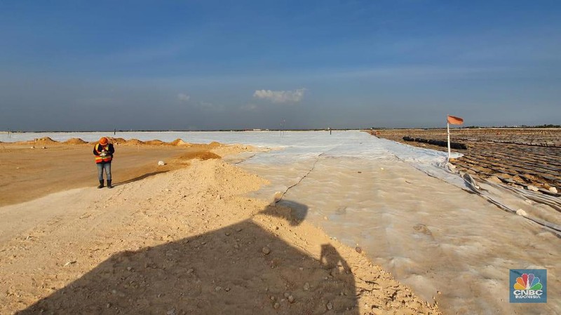 Biaya sewa lahan juga sudah dibayar oleh Freeport kepada pengelola JIIPE selama 5 tahun.