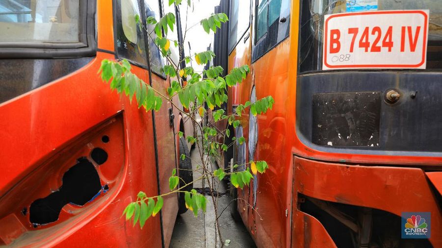 Bus legendaris tersebut merupakan generasi pertama saat Transjakarta pertama kali dijajal, 2014 silam.