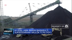 Semester 1 2019, Laba Bersih Baramulti Anjlok 71,7%