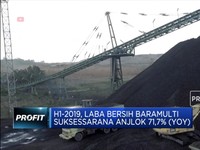 Semester 1 2019, Laba Bersih Baramulti Anjlok 71,7%