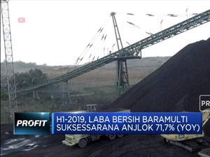 Semester 1 2019, Laba Bersih Baramulti Anjlok 71,7%
