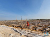 Psst..Ada Risiko di Balik Hilirisasi dan Investasi Minerba RI
