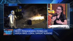Asosiasi : Harga Nikel Lokal Bikin Pengusaha Terpuruk