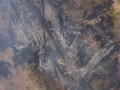 VIDEO: Titik Api di Hutan Amazon Tambah 1.113 dalam Dua Hari