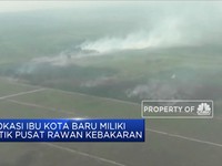 Lokasi Ibu Kota Baru Rawan Kebakaran Hutan