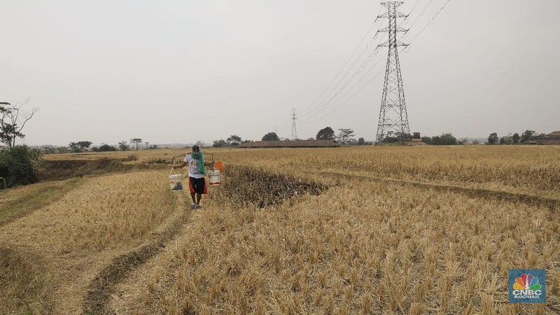 Akibat kemarau berkepanjangan warga Cibarusah, Kabupaten Bekasi, harus membeli air untuk dapat minum.