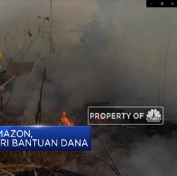 Negara G7 Beri Bantuan untuk Kebakaran Besar di Amazon