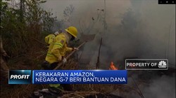 Negara G7 Beri Bantuan untuk Kebakaran Besar di Amazon