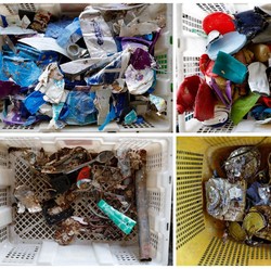 Terungkap! Ini Pihak yang 'Datangkan' Sampah Impor Masuk RI