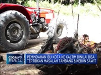 Luhut: Pemindahan Ibu Kota Bisa Tertibkan Tambang & Sawit