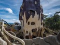 Rumah Terlilit Akar Jadi Objek Foto Populer di Dalat