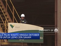 Induk Usaha Vale Indonesia Akan Temui Presiden Jokowi